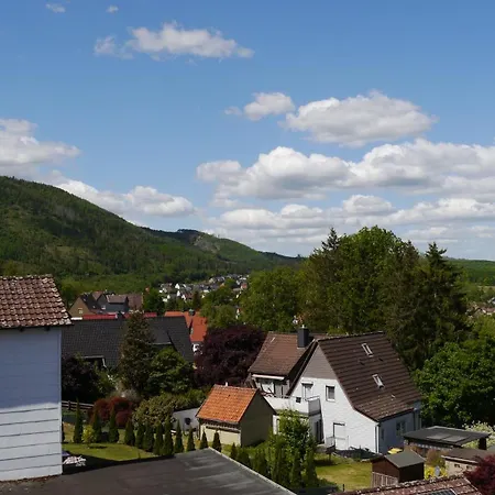 Apartment Okerblick