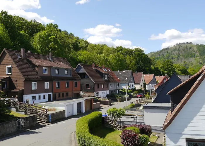 Apartment Okerblick *